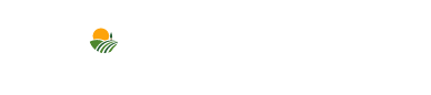 Raggruppa 84